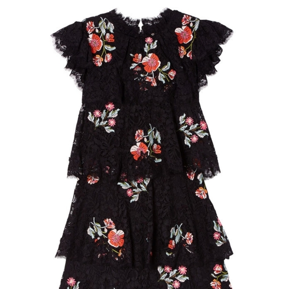 🆕️Rebecca Taylor Embroidered Lace Floral Dress size 10 - Picture 4 of 12